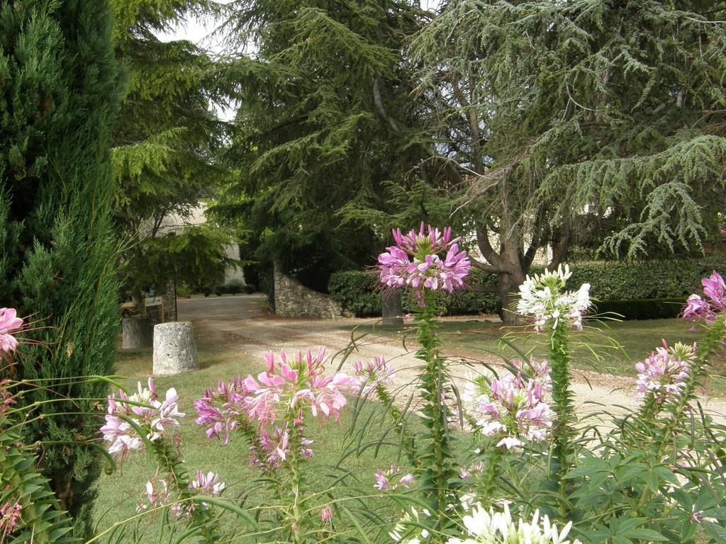 Chambres D'Hotes Domaine De La Brette Moncrabeau Bilik gambar